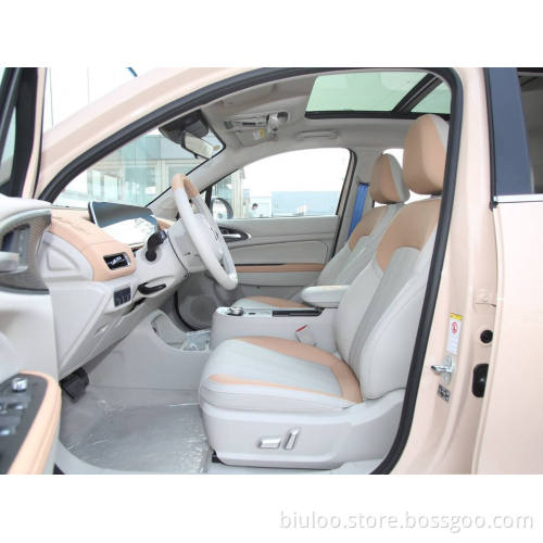2022 New Car New Energy Vehicle price Hot Selling Chinese Electric Car Euler good cat 401km standard endurance type Electric Car